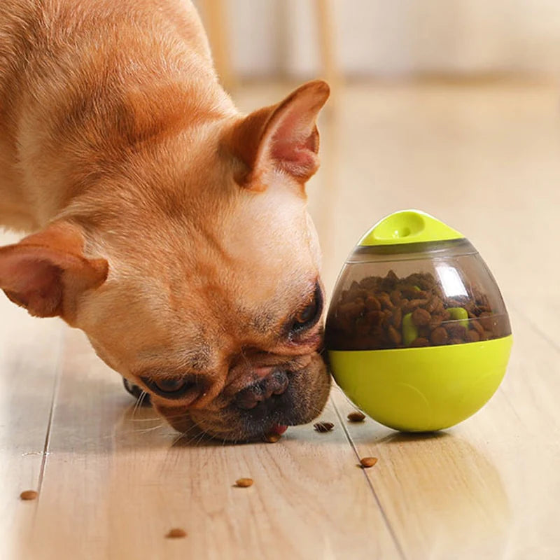 Bola de golosinas para mascota